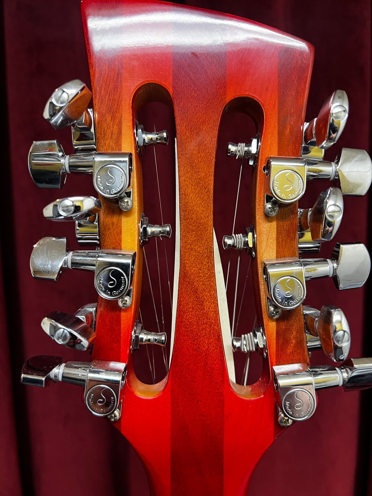 Used Fishbone 12-String Semi Hollow Electric Guitar