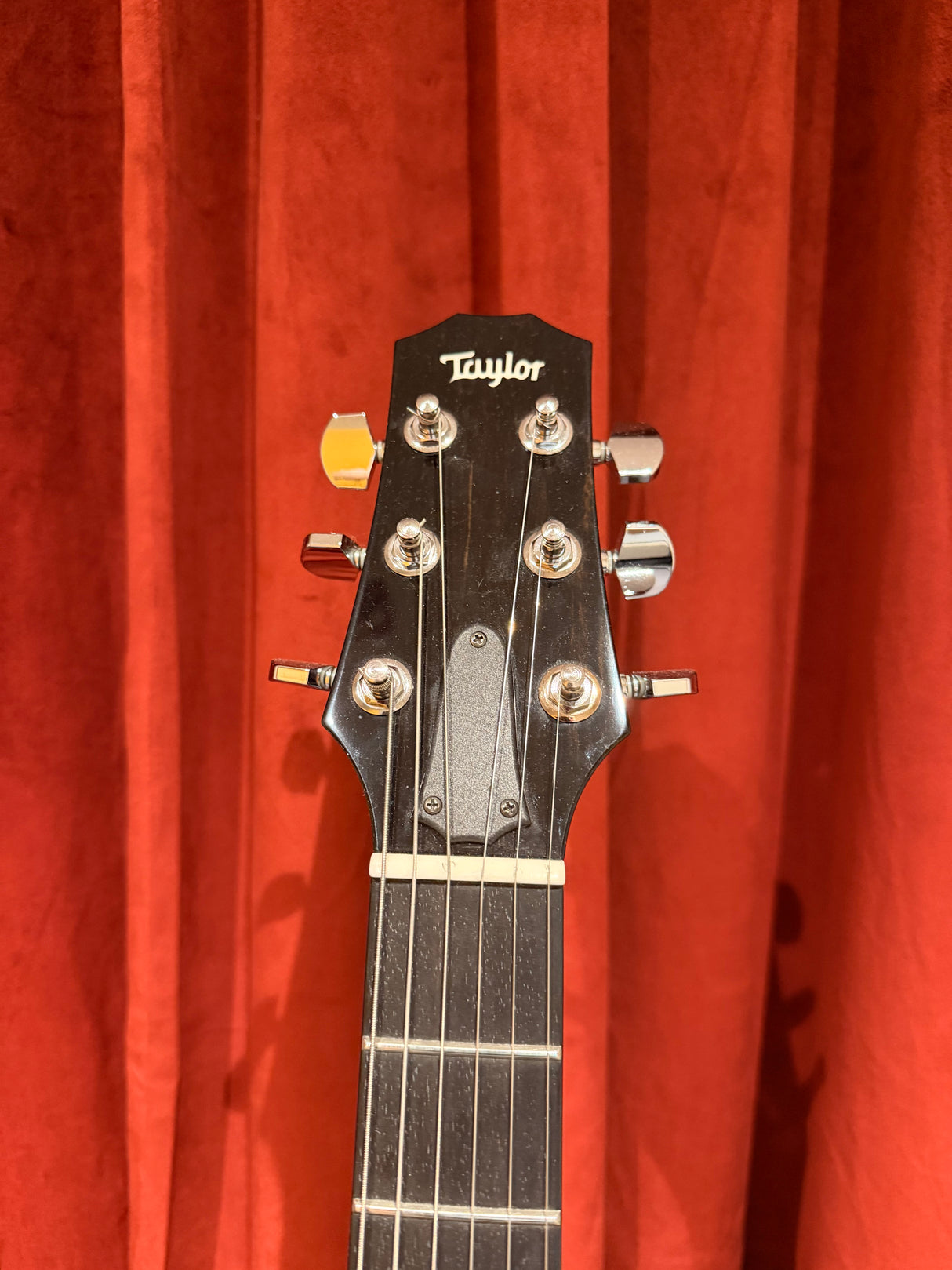Used Taylor SB-1 Electric w/HSC (2008)