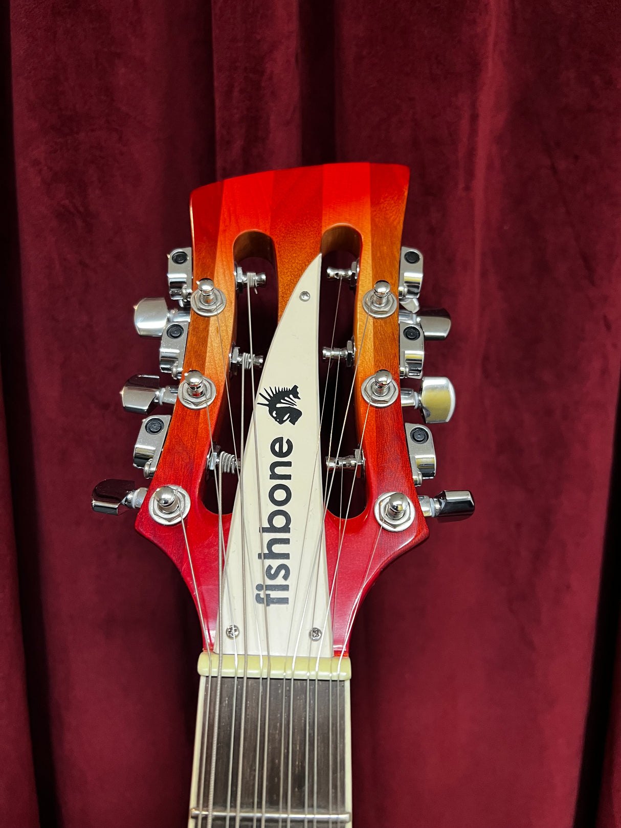 Used Fishbone 12-String Semi Hollow Electric Guitar