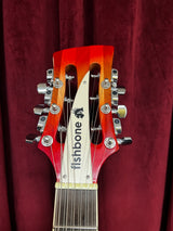 Used Fishbone 12-String Semi Hollow Electric Guitar