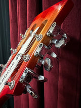 Used Fishbone 12-String Semi Hollow Electric Guitar