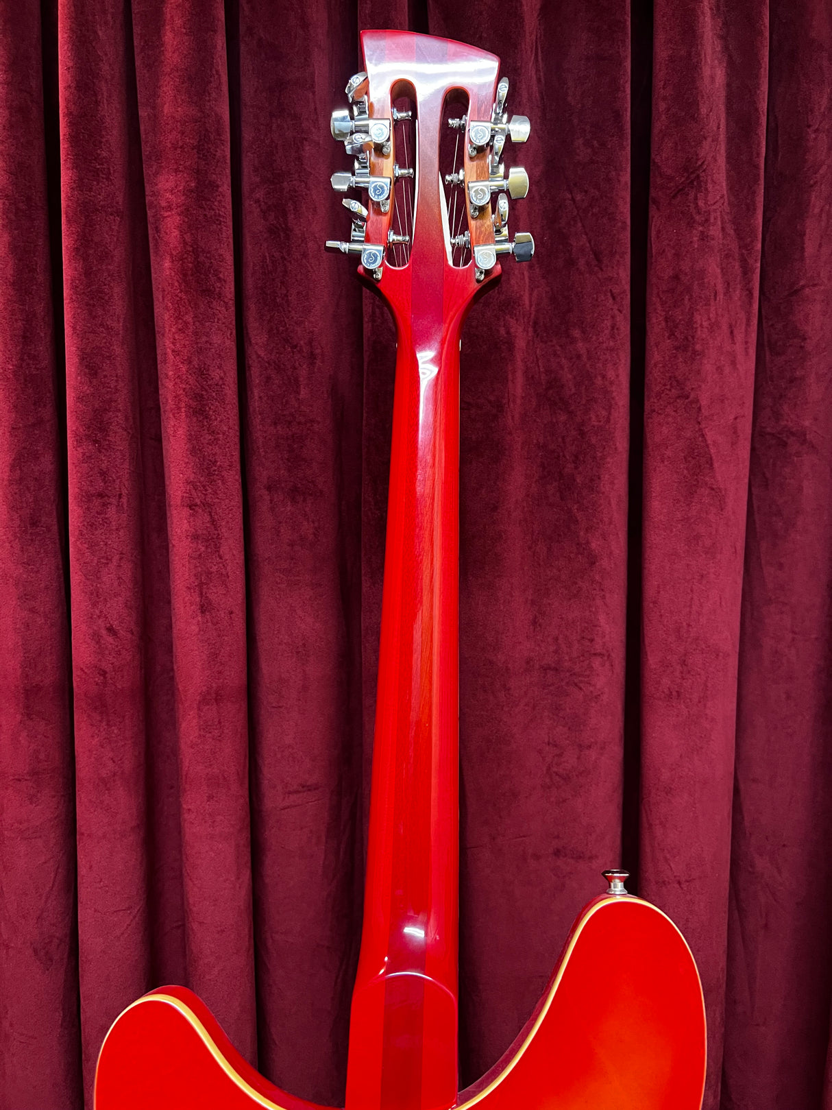 Used Fishbone 12-String Semi Hollow Electric Guitar