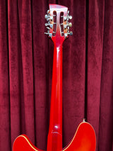 Used Fishbone 12-String Semi Hollow Electric Guitar