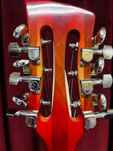 Used Fishbone 12-String Semi Hollow Electric Guitar