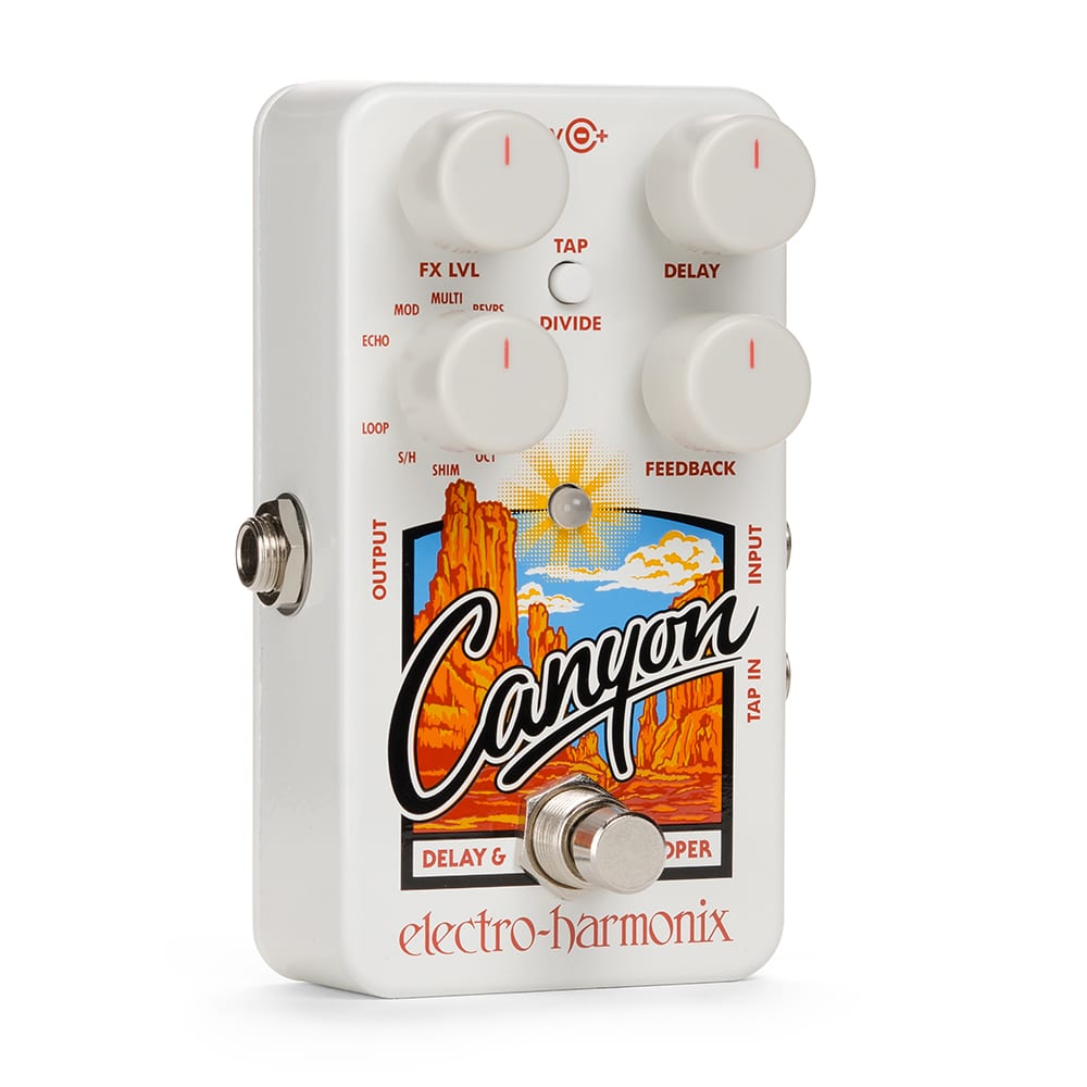 Electro Harmonix Canyon Delay and Looper